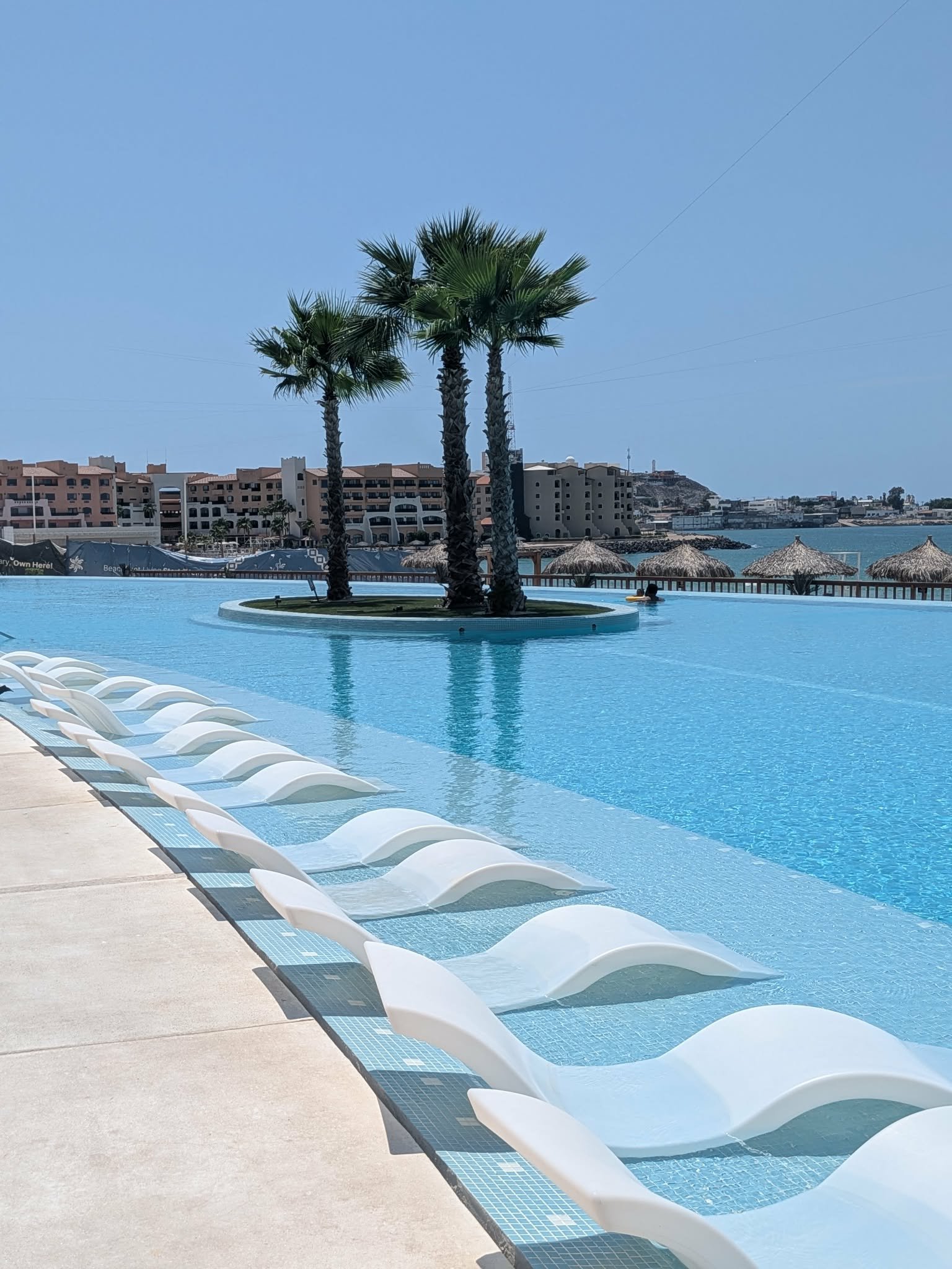 Sonoran Star infinity pool lined with in-water loungers and palm trees
